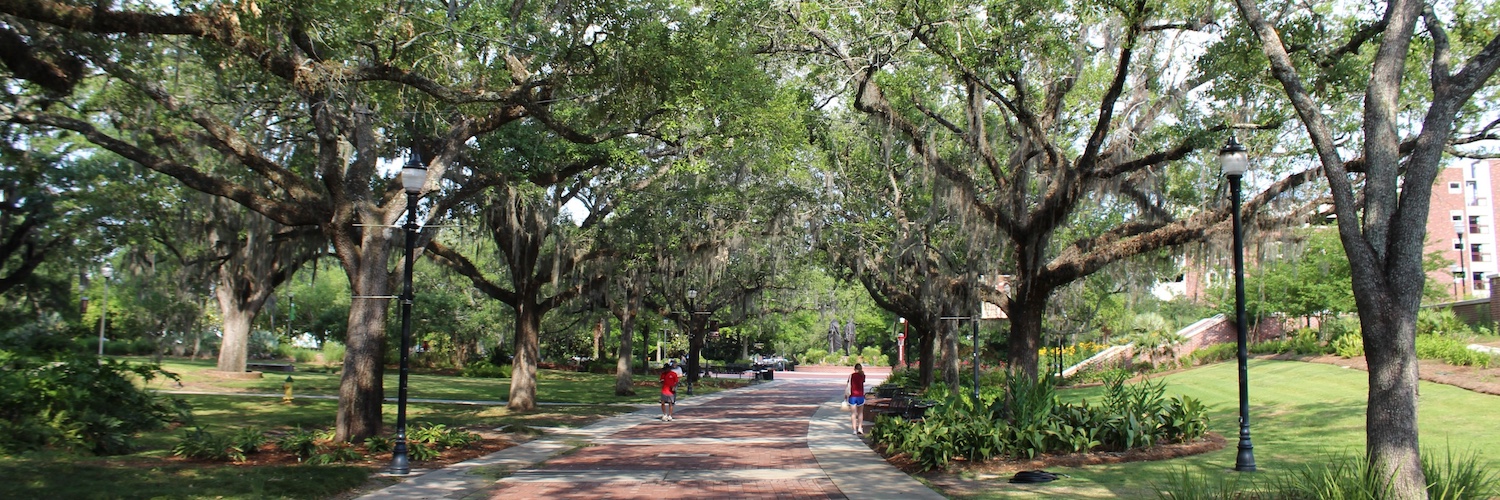 Photo of scenery or campus life at FSU
